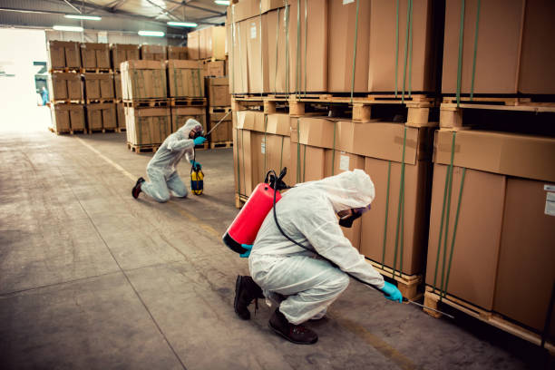 Best Flea Control Services  in Tonganoxie, KS