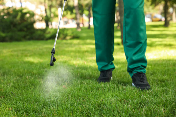 Professional Pest Control in Tonganoxie, KS