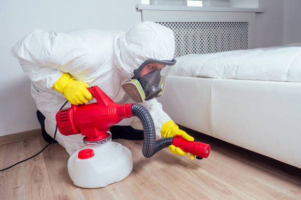 Wasp Removal Services in Tonganoxie, KS