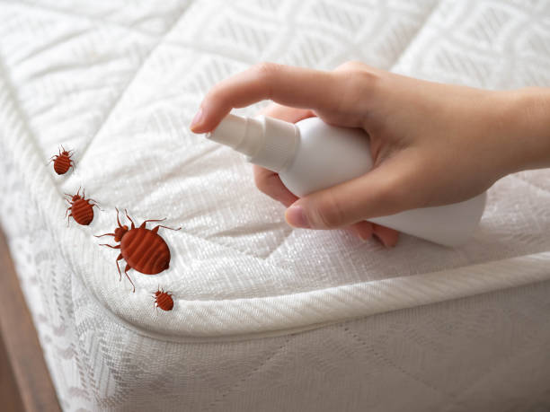 Best Cockroach Control Services  in Tonganoxie, KS