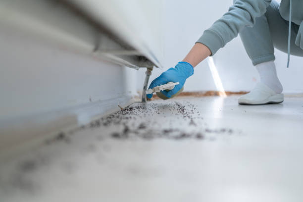 Best Cockroach Control Services  in Tonganoxie, KS