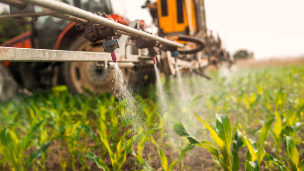 Best Affordable Pest Control Services  in Tonganoxie, KS
